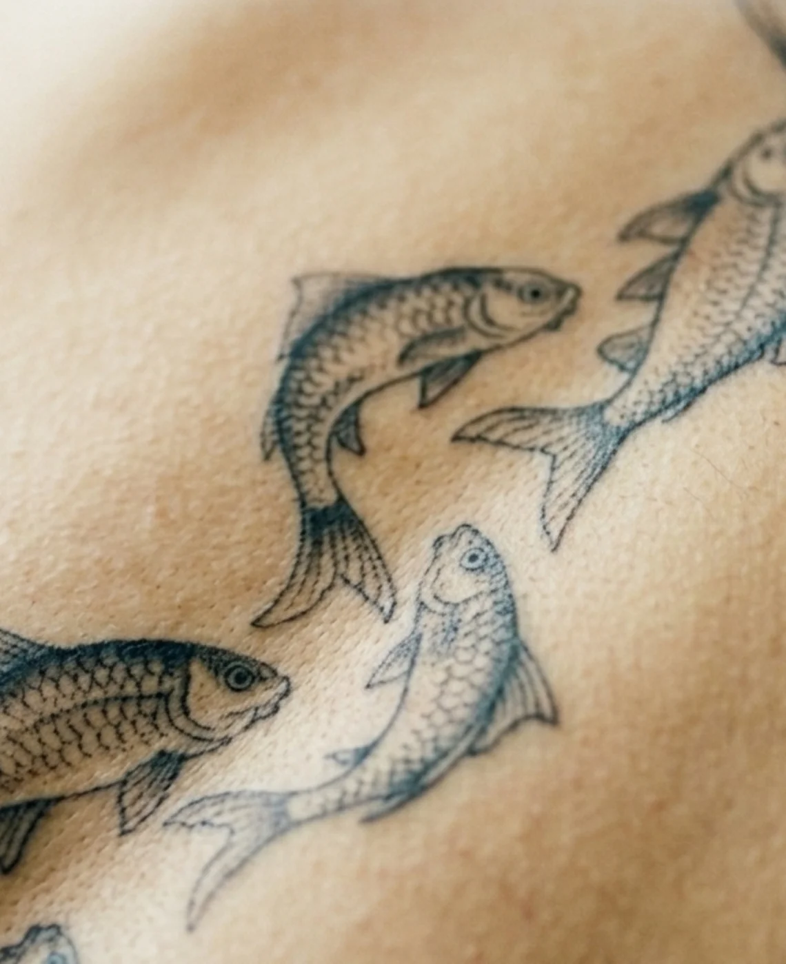 Spine Swimmer — image 2